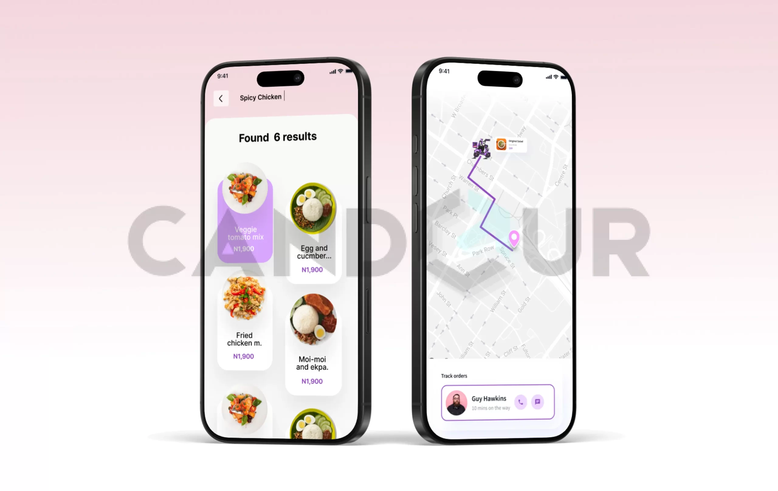 instant food delivery