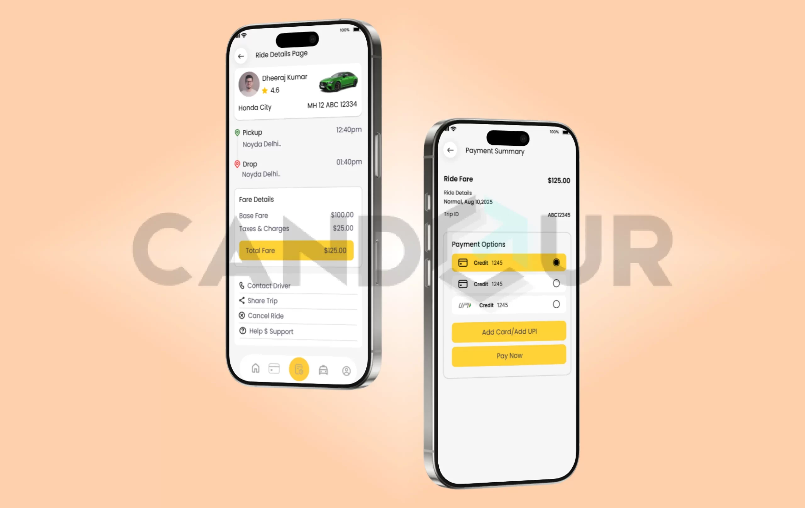 instant food delivery