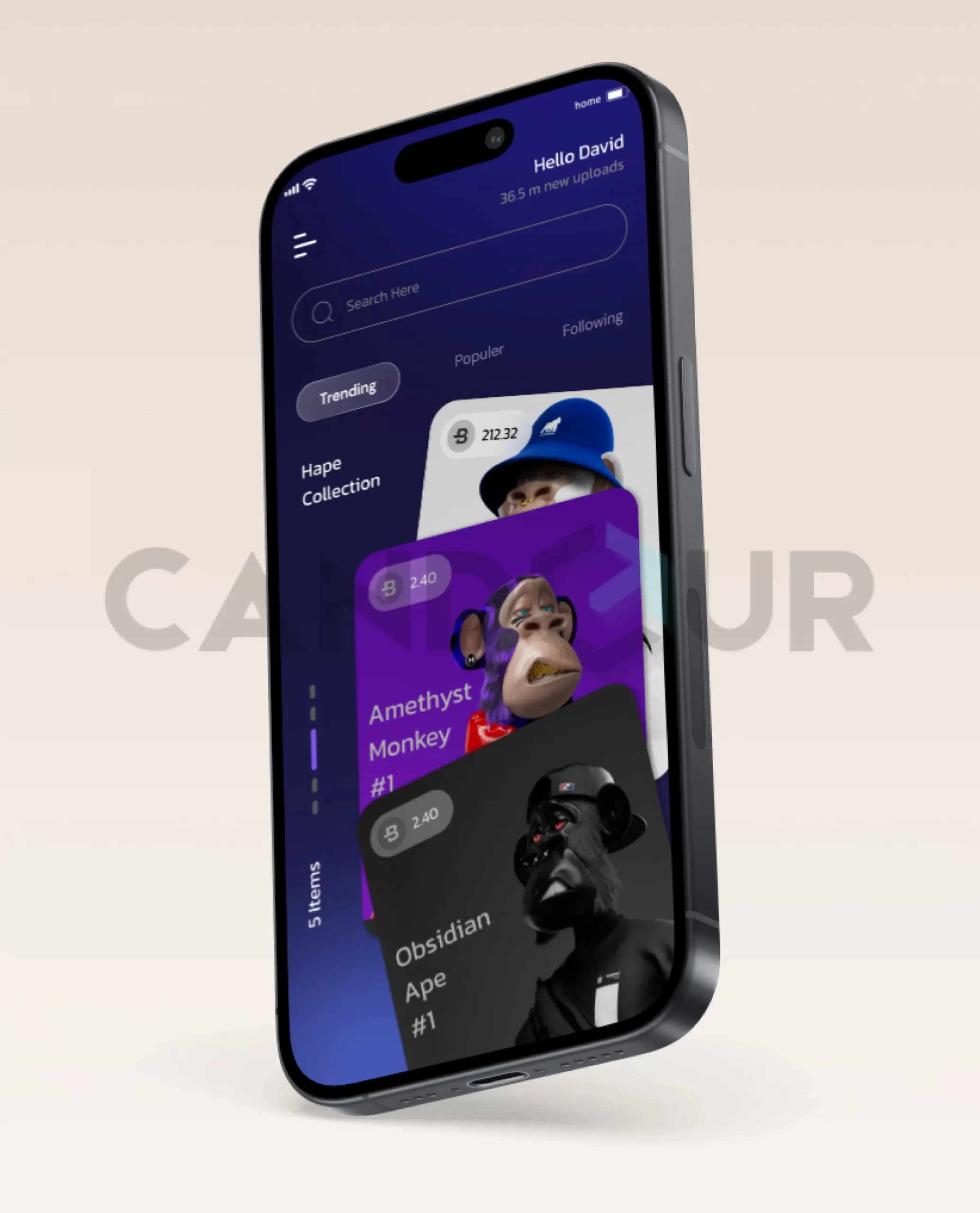 Candour%20Technolabs